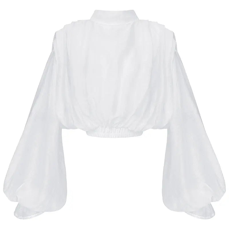 Lantern Sleeve Shirt Stand Collar Long Sleeve Peplum Top ODMPOD